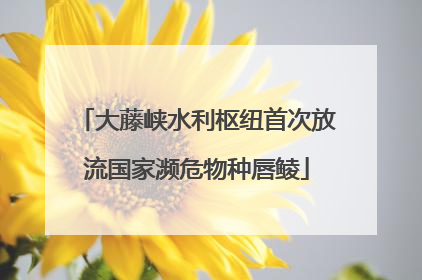 大藤峡水利枢纽首次放流国家濒危物种唇鲮