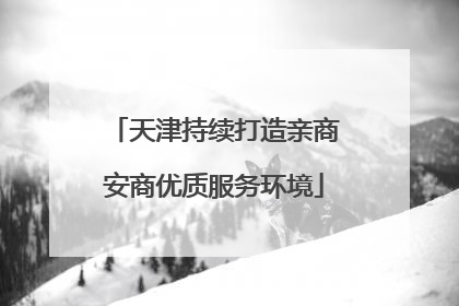 天津持续打造亲商安商优质服务环境