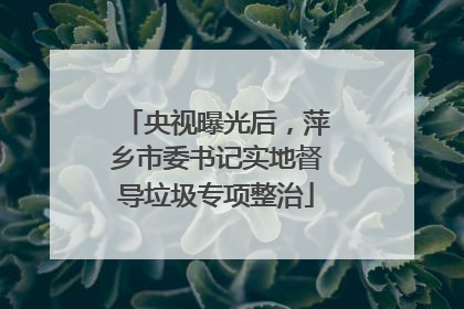央视曝光后，萍乡市委书记实地督导垃圾专项整治