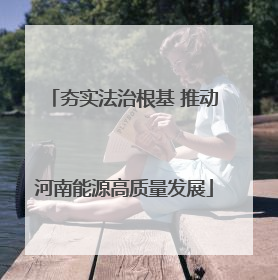 夯实法治根基 推动河南能源高质量发展