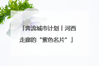 奔流城市计划丨河西走廊的“紫色名片”