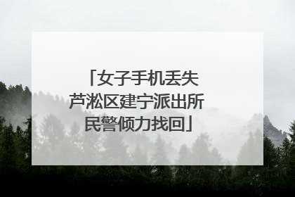 女子手机丢失 芦淞区建宁派出所民警倾力找回