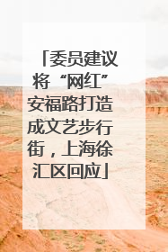 委员建议将“网红”安福路打造成文艺步行街，上海徐汇区回应