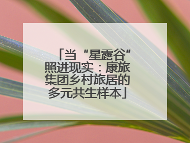 当“星露谷”照进现实：康旅集团乡村旅居的多元共生样本