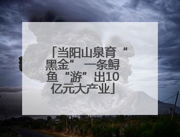 当阳山泉育“黑金” 一条鲟鱼“游”出10亿元大产业
