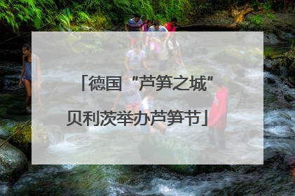 德国“芦笋之城”贝利茨举办芦笋节