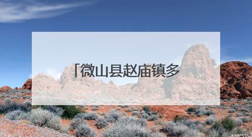 微山县赵庙镇多措并举为绿化苗木“补水解渴”