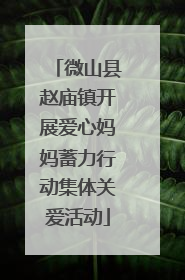 微山县赵庙镇开展爱心妈妈蓄力行动集体关爱活动