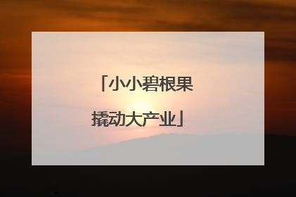 小小碧根果撬动大产业