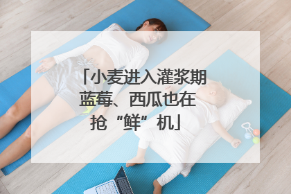 小麦进入灌浆期 蓝莓、西瓜也在抢“鲜”机