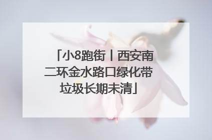 小8跑街丨西安南二环金水路口绿化带垃圾长期未清