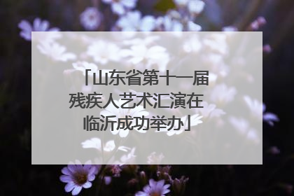山东省第十一届残疾人艺术汇演在临沂成功举办