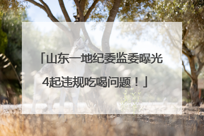 山东一地纪委监委曝光4起违规吃喝问题！