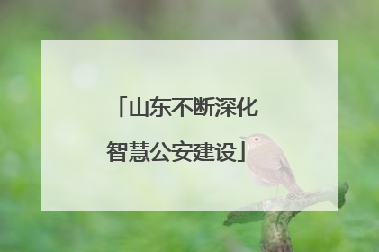 山东不断深化智慧公安建设