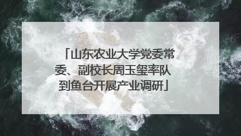 山东农业大学党委常委、副校长周玉玺率队到鱼台开展产业调研