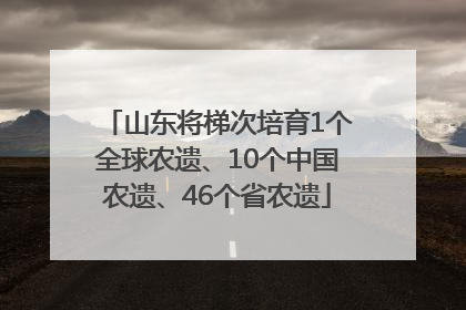 山东将梯次培育1个全球农遗、10个中国农遗、46个省农遗