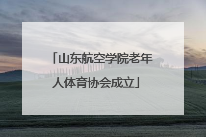 山东航空学院老年人体育协会成立