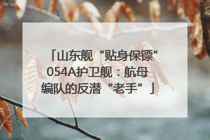 山东舰“贴身保镖”054A护卫舰：航母编队的反潜“老手”
