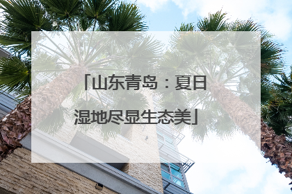 山东青岛：夏日湿地尽显生态美