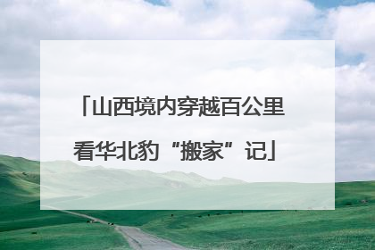 山西境内穿越百公里 看华北豹“搬家”记