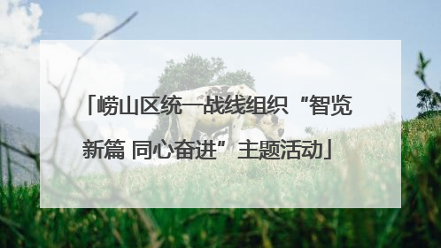 崂山区统一战线组织“智览新篇 同心奋进”主题活动