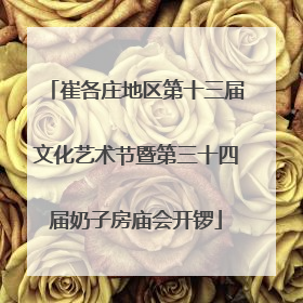 崔各庄地区第十三届文化艺术节暨第三十四届奶子房庙会开锣