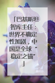 巴基斯坦智库主任：世界不确定性加剧，中国是全球“稳定之锚”