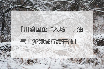 川渝国企“入场”，油气上游领域持续开放