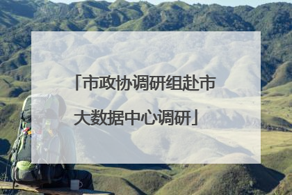 市政协调研组赴市大数据中心调研