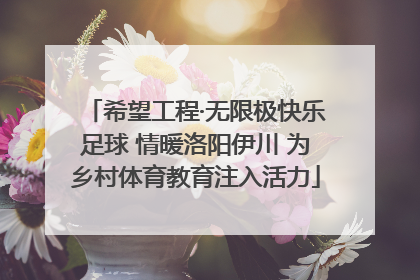希望工程·无限极快乐足球 情暖洛阳伊川 为乡村体育教育注入活力