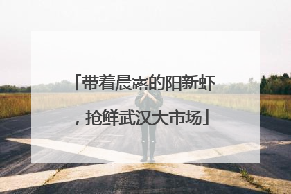 带着晨露的阳新虾，抢鲜武汉大市场
