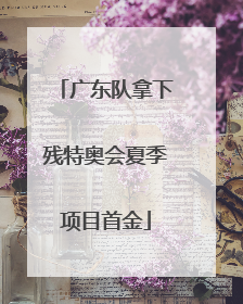 广东队拿下残特奥会夏季项目首金