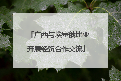 广西与埃塞俄比亚开展经贸合作交流
