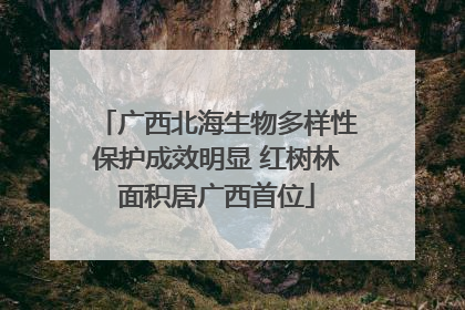广西北海生物多样性保护成效明显 红树林面积居广西首位