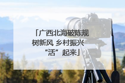 广西北海破陈规树新风 乡村振兴“活”起来