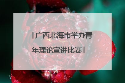 广西北海市举办青年理论宣讲比赛