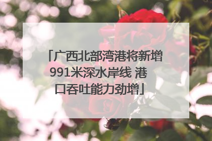 广西北部湾港将新增991米深水岸线 港口吞吐能力劲增