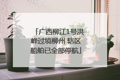 广西柳江1号洪峰过境柳州 辖区船舶已全部停航