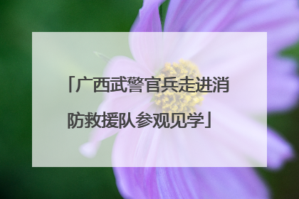 广西武警官兵走进消防救援队参观见学