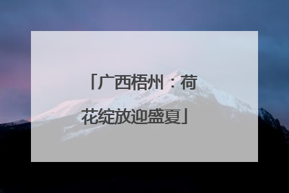 广西梧州：荷花绽放迎盛夏