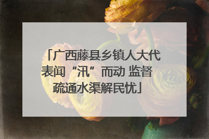 广西藤县乡镇人大代表闻“汛”而动 监督疏通水渠解民忧