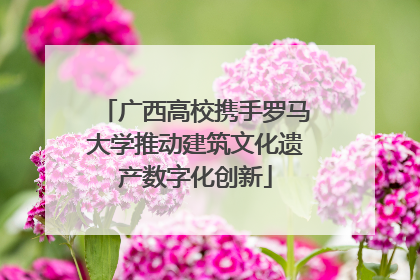 广西高校携手罗马大学推动建筑文化遗产数字化创新