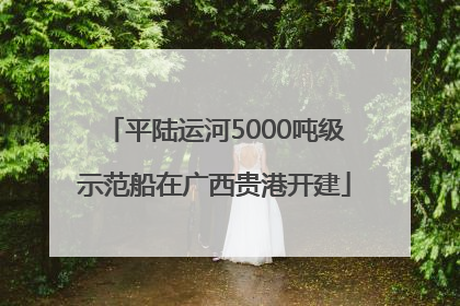 平陆运河5000吨级示范船在广西贵港开建