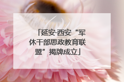 延安·西安“军休干部思政教育联盟”揭牌成立