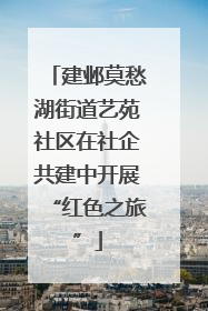 建邺莫愁湖街道艺苑社区在社企共建中开展“红色之旅”