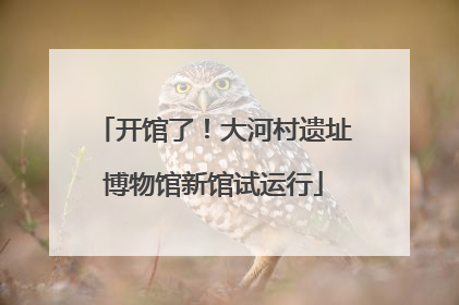 开馆了！大河村遗址博物馆新馆试运行