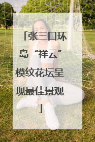 张三口环岛“祥云”模纹花坛呈现最佳景观