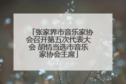 张家界市音乐家协会召开第五次代表大会 胡情当选市音乐家协会主席