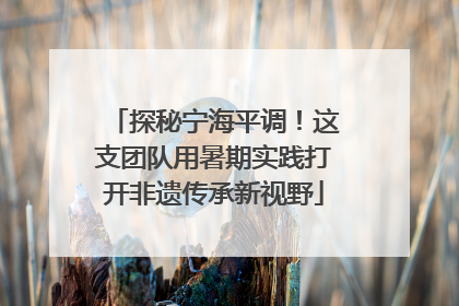 探秘宁海平调！这支团队用暑期实践打开非遗传承新视野