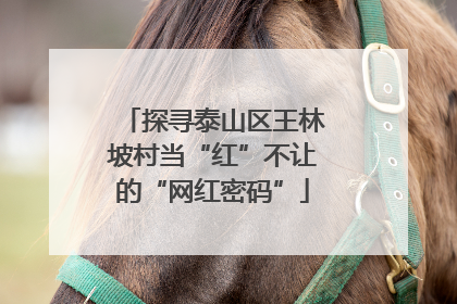 探寻泰山区王林坡村当“红”不让的“网红密码”